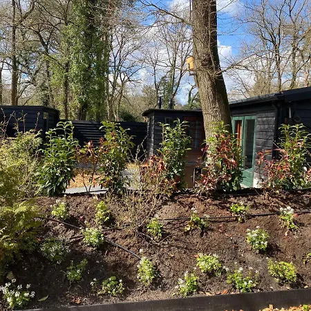 De Veluwse Bos Apartament