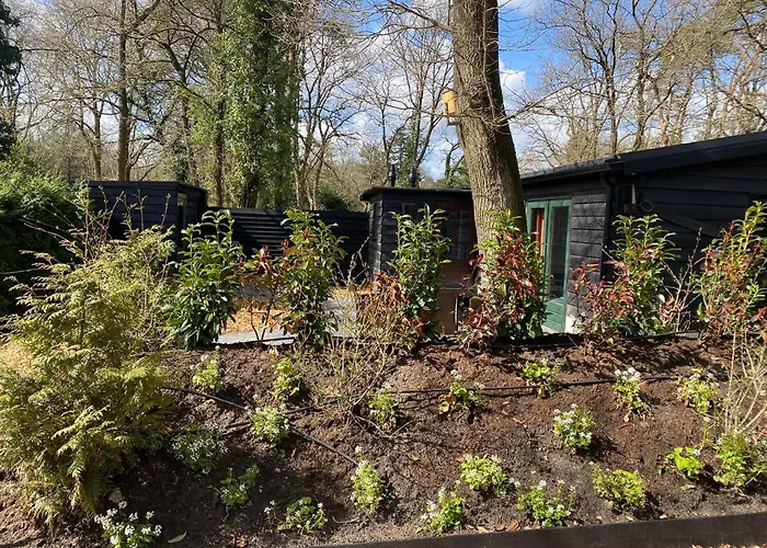 De Veluwse Bos Apartamento