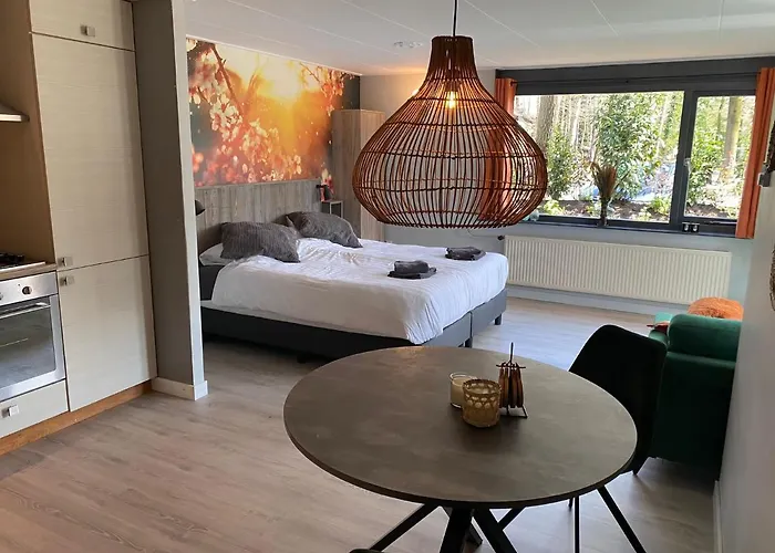 Apartment De Veluwse Bos *